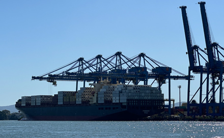 赏金国际 591854a0db7c3a6bc4b4ec3d2346f32a